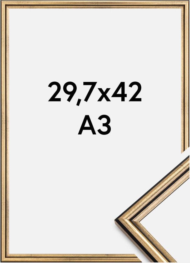 Ramme Horndal Akrylglass Gull 29,7x42 Cm (A3)