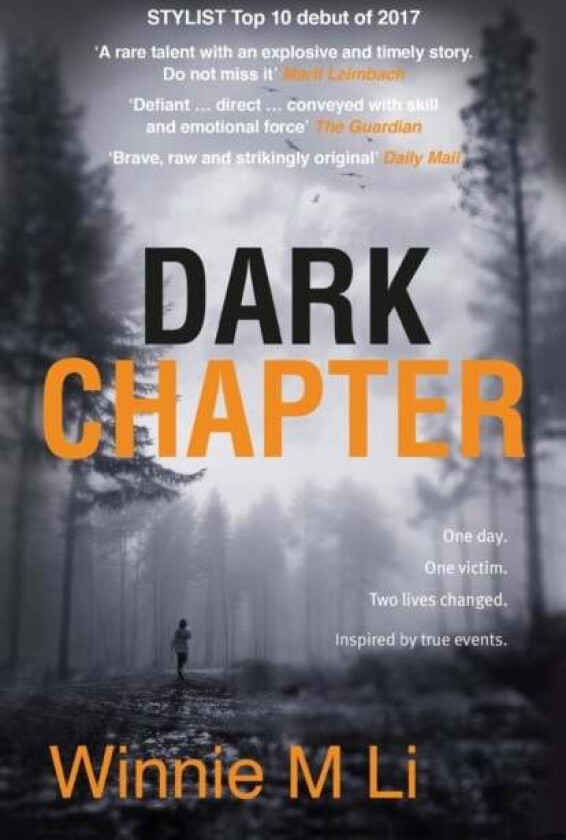 Dark Chapter av Winnie M. Li