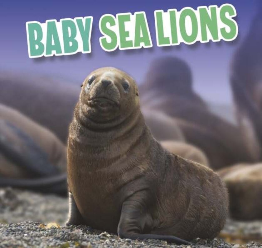 Baby Sea Lions av Martha E. H. Rustad