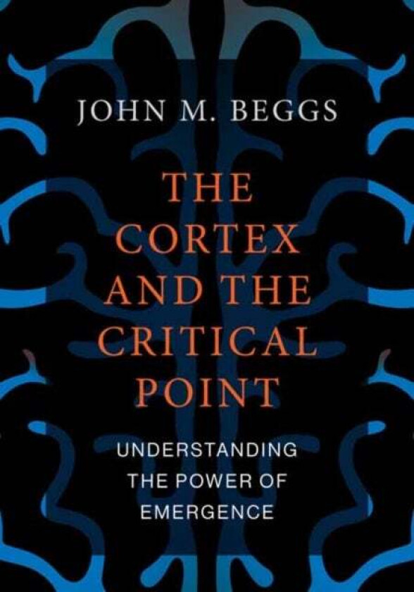 The Cortex and the Critical Point av John M. Beggs
