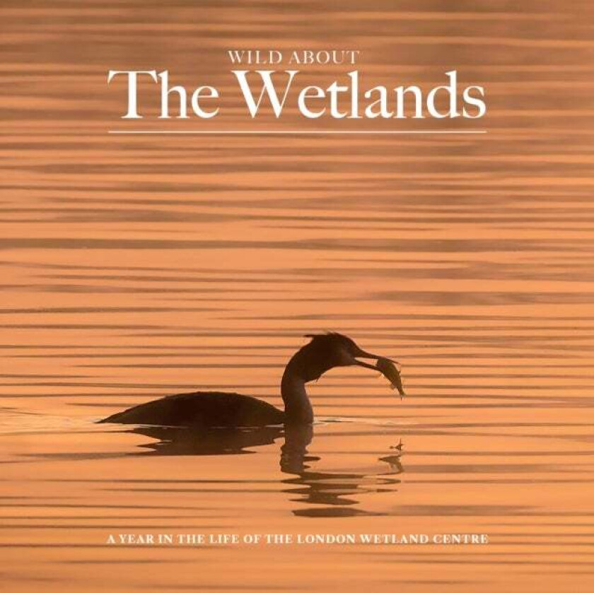 Wild about The Wetlands av Andrew Wilson