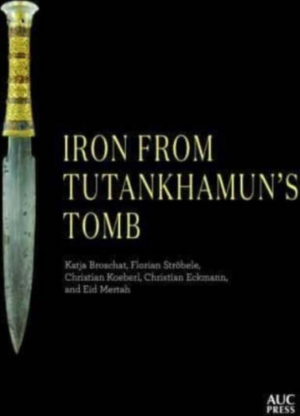 Iron from Tutankhamun&#039;s Tomb av Katja Broschat, Florian Stroebele, Christian Koeberl, Christian Eckmann, Eid Mertah