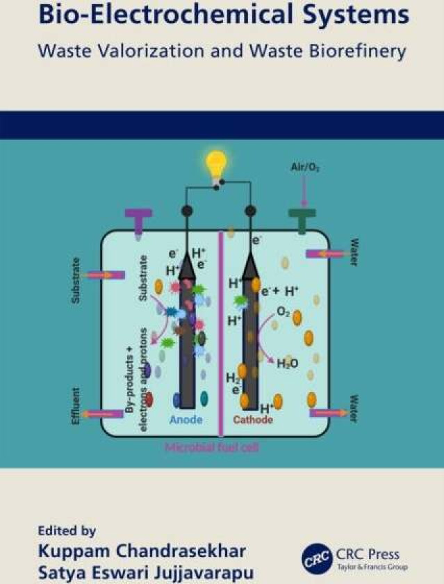 Bio-Electrochemical Systems