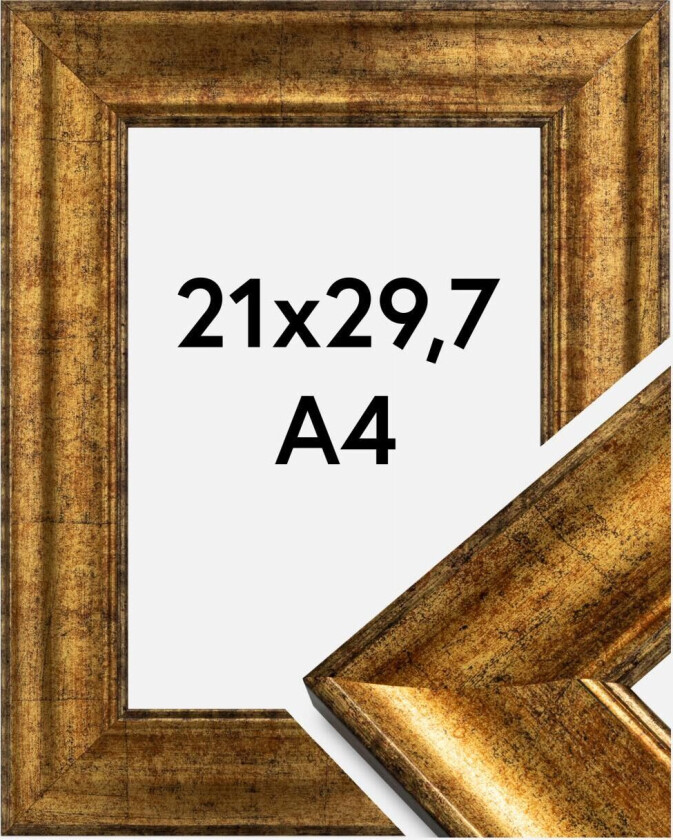 Ramme Saltsjöbaden Akrylglass Gull 21x29,7 Cm (A4)