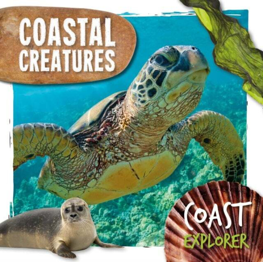Coastal Creatures av Robin Twiddy