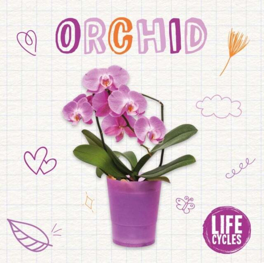 Orchid av Brenda McHale