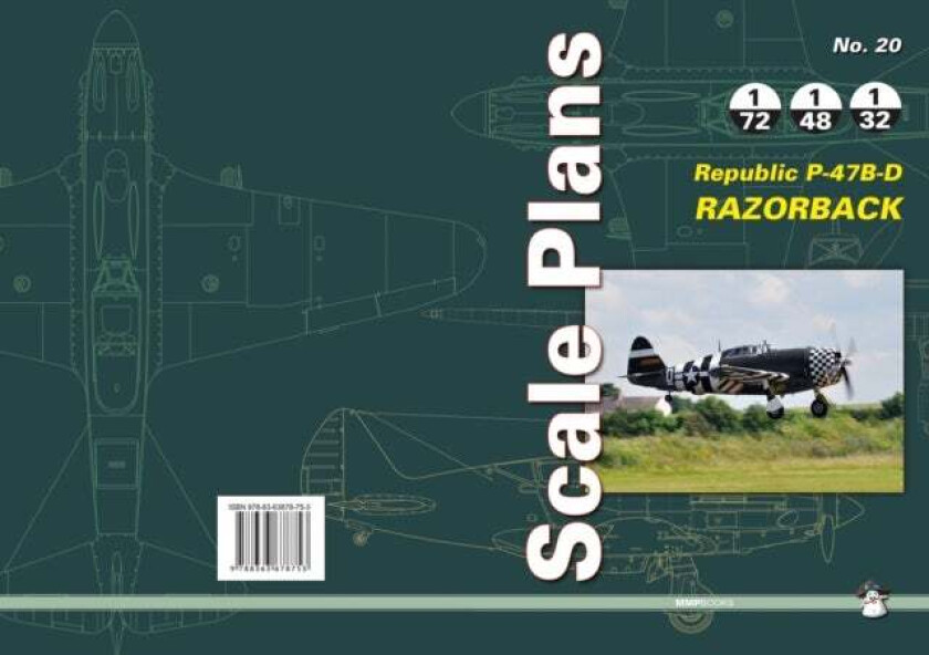 Republic P-47b-D Razorback av Dariusz Karnas