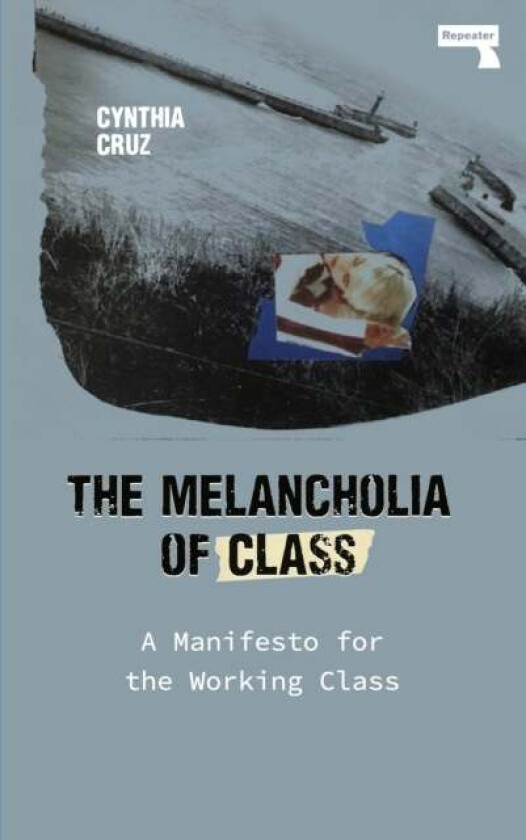 The Melancholia of Class av Cynthia Cruz