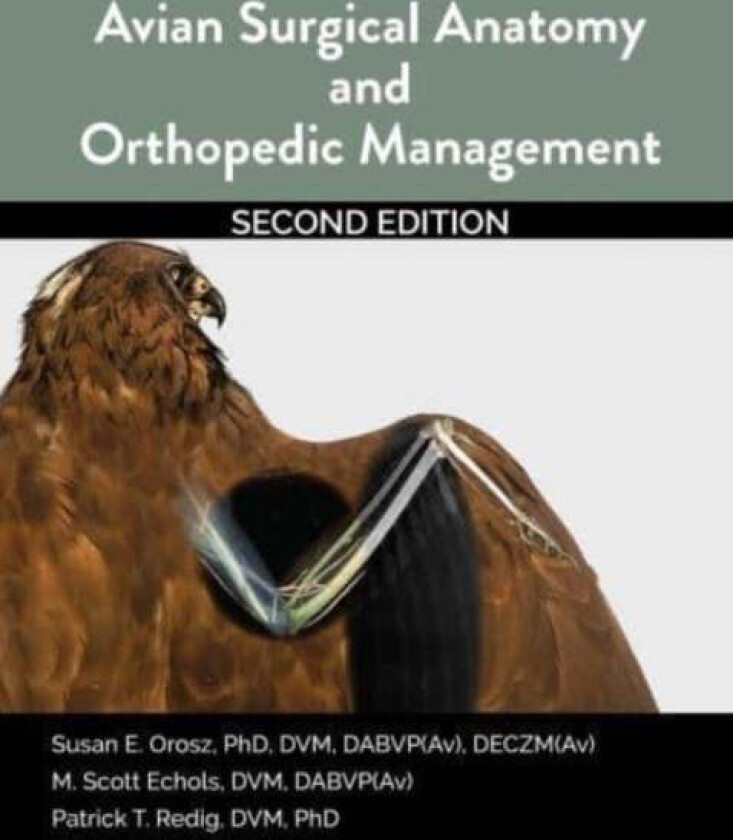 Avian Surgical Anatomy And Orthopedic Management, 2nd Edition av Susan Orosz, Scott Echols, Patrick Redig