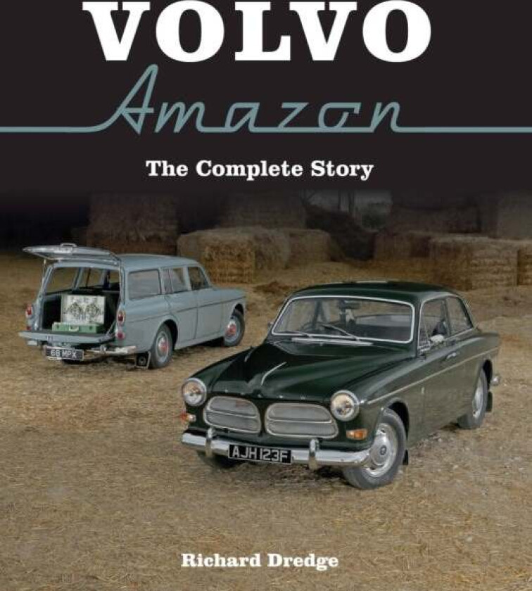 Volvo Amazon av Richard Dredge