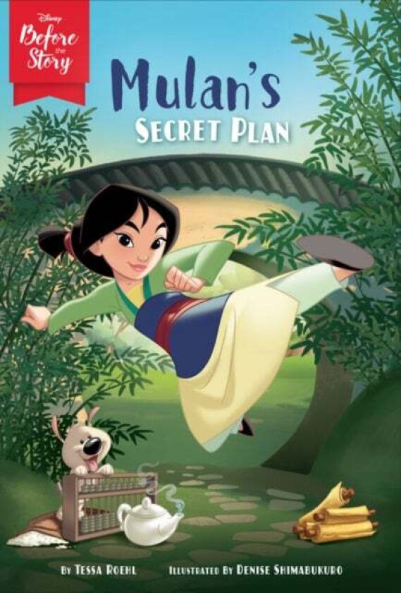 Disney Before the Story: Mulan&#039;s Secret Plan av Tessa Roehl