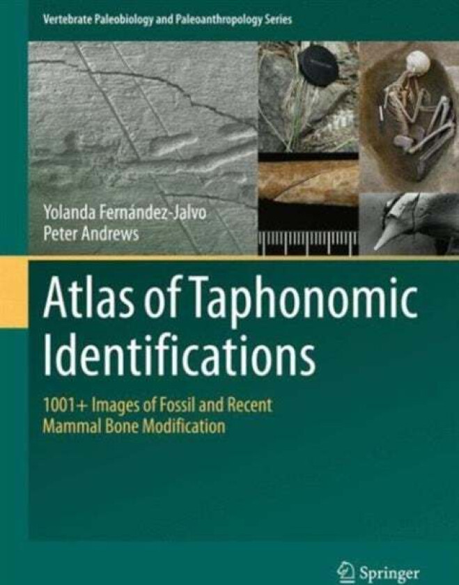 Atlas of Taphonomic Identifications av Yolanda Fernandez-Jalvo, Peter Andrews