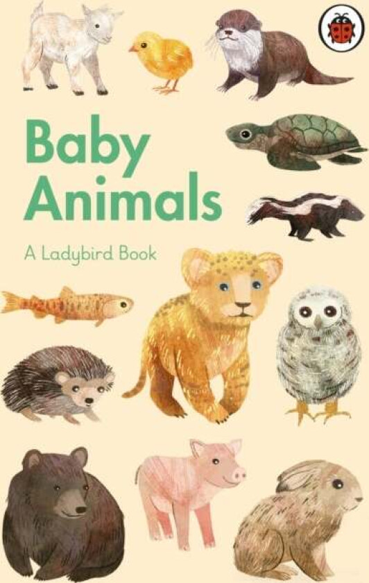 A Ladybird Book: Baby Animals