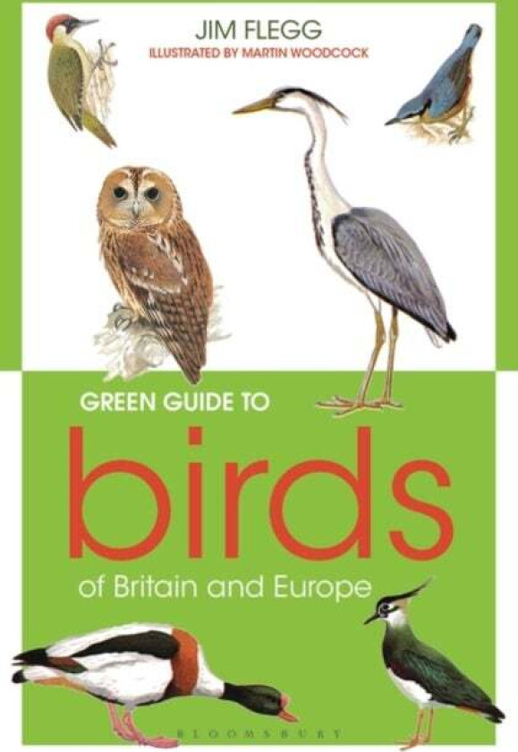 Green Guide to Birds Of Britain And Europe av Jim Flegg