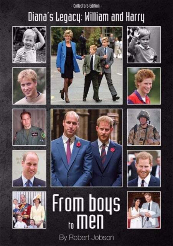 DIANA'S LEGACY: WILLIAM AND HARRY av Robert Jobson