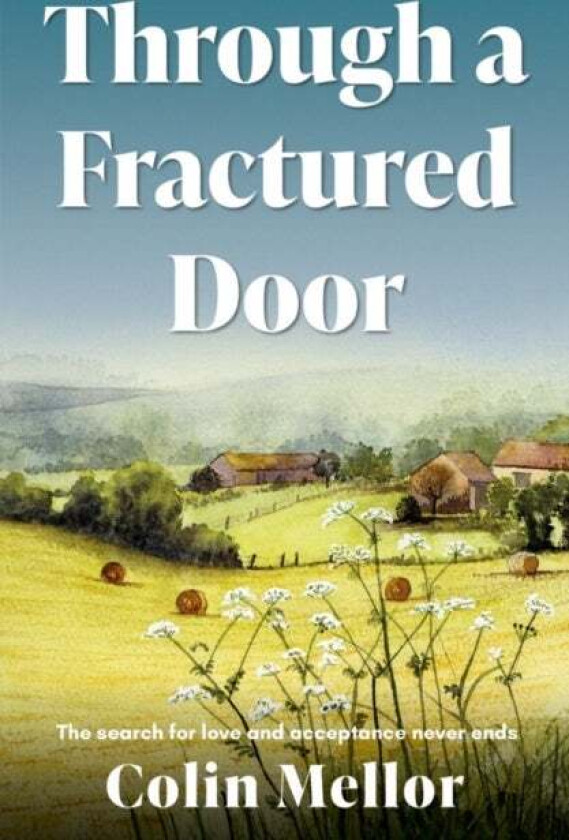 Through a Fractured Door av Colin Mellor