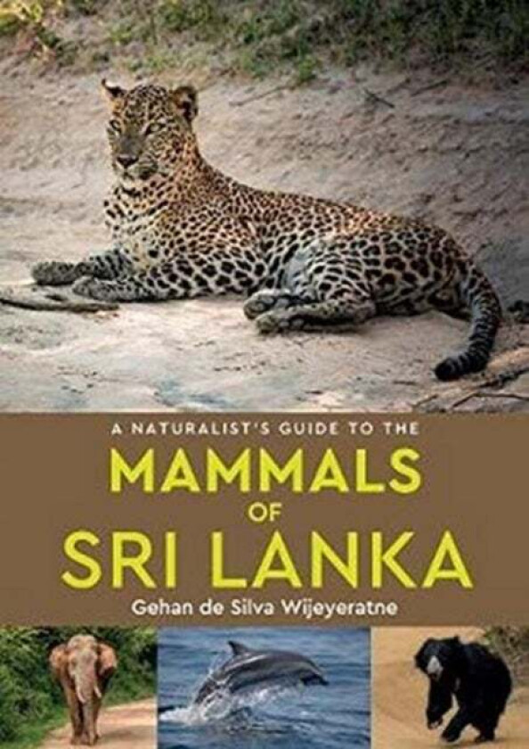 A Naturalist&#039;s Guide to the Mammals of Sri Lanka av Gehan de Silva Wijeyeratne