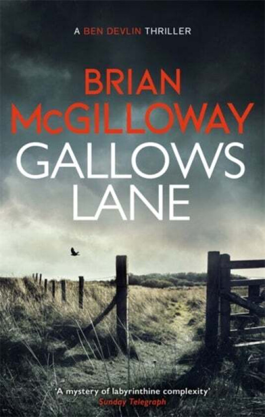 Gallows Lane av Brian McGilloway