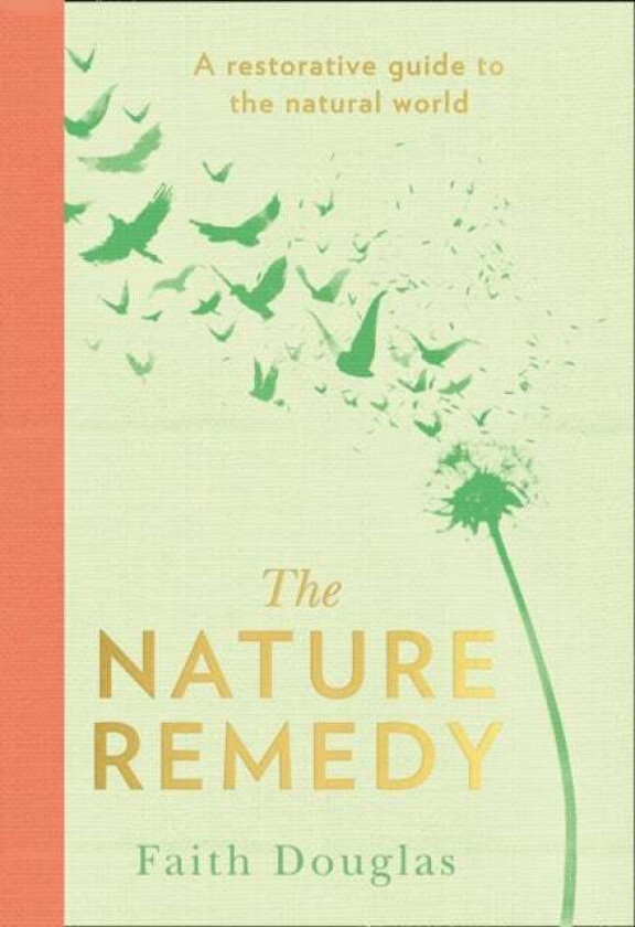 The Nature Remedy av Faith Douglas