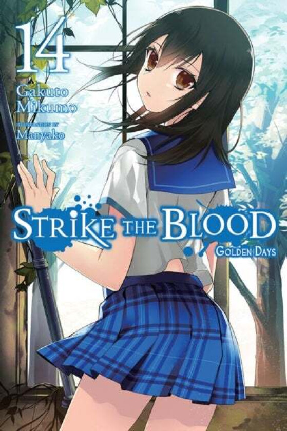 Strike the Blood, Vol. 14 (light novel) av Gakuto Mikumo
