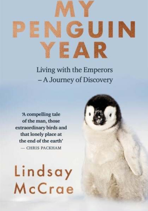 My Penguin Year av Lindsay McCrae