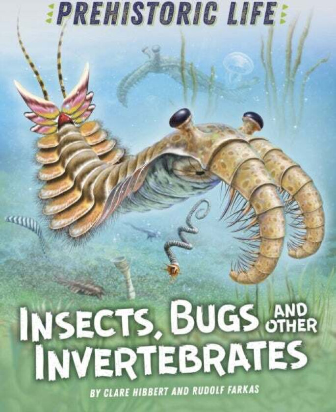 Prehistoric Life: Insects, Bugs and Other Invertebrates av Clare Hibbert