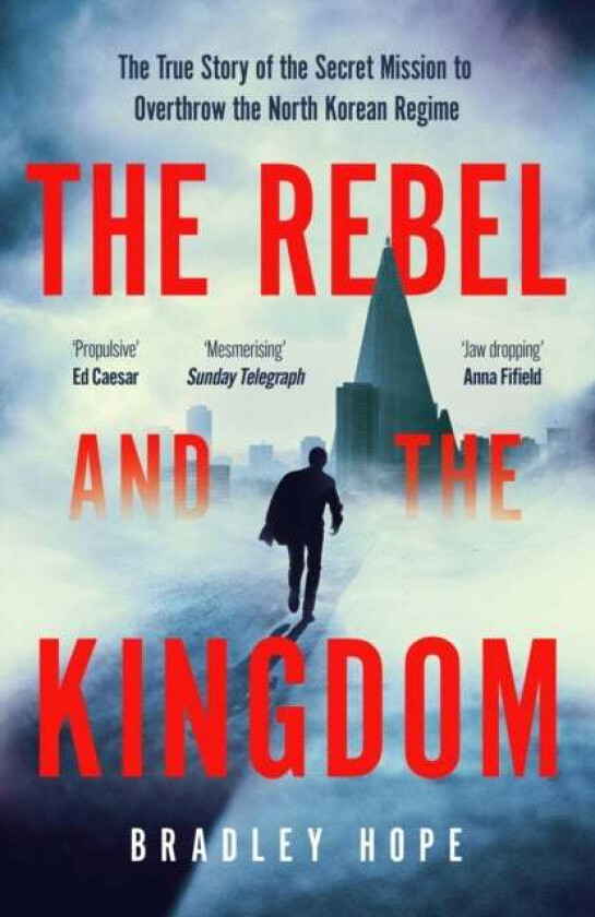 The Rebel and the Kingdom av Bradley Hope