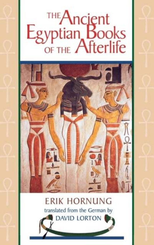 The Ancient Egyptian Books of the Afterlife av Erik Hornung