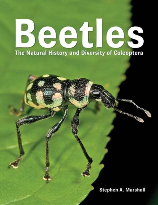 Beetles av Stephen A. Marshall
