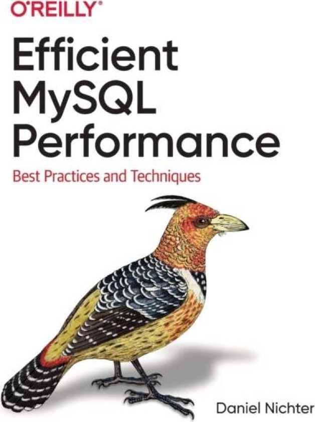 Efficient MySQL Performance av Daniel Nichter
