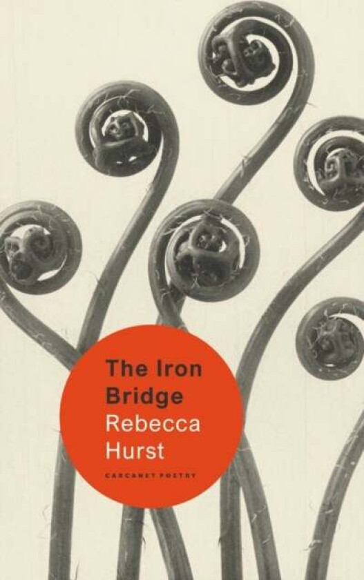 The Iron Bridge av Rebecca Hurst