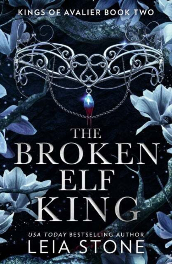 The Broken Elf King av Leia Stone