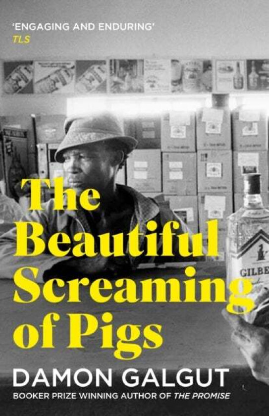 The Beautiful Screaming of Pigs av Damon Galgut