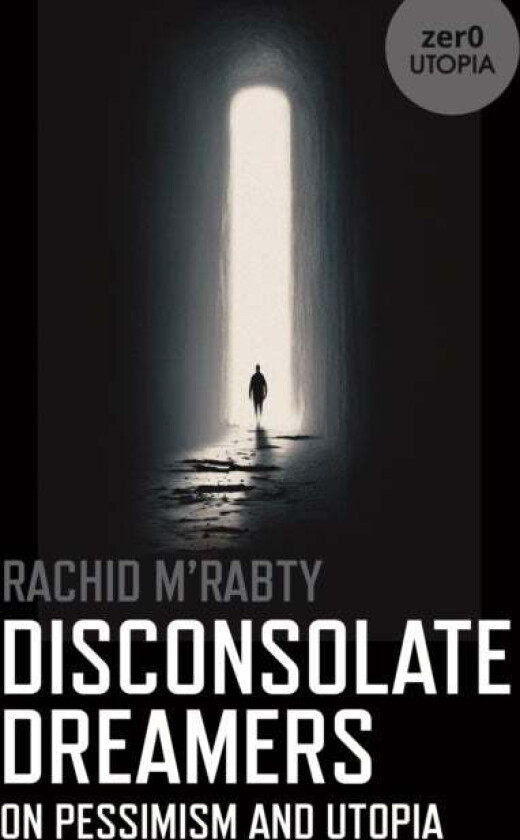 Disconsolate Dreamers av Evelyn Elsaesser