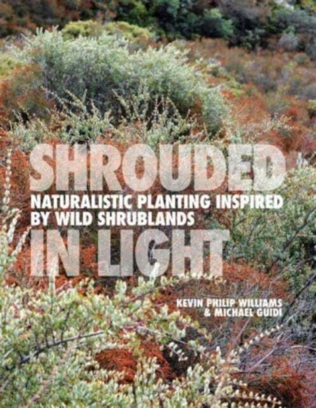 SHROUDED IN LIGHT av Kevin Philip Williams, Michael Guidi