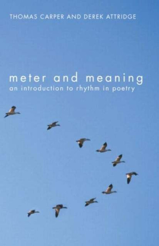 Meter and Meaning av Thomas Carper, Derek (University of York UK) Attridge