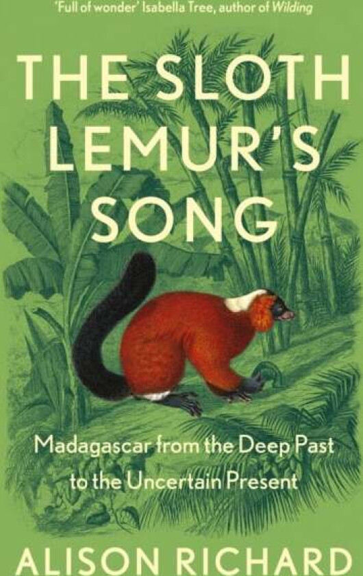 The Sloth Lemur¿s Song av Alison Richard