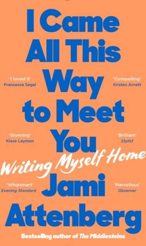 I Came All This Way to Meet You av Jami Attenberg