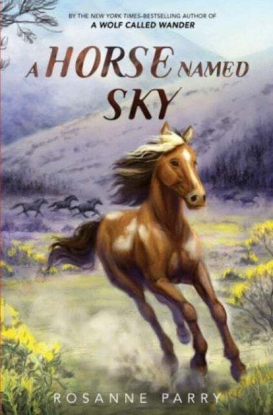 A Horse Named Sky av Rosanne Parry