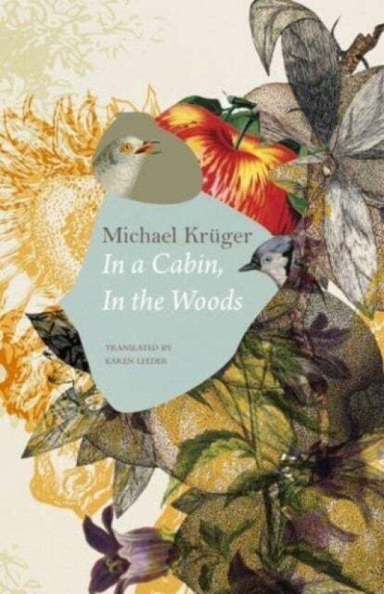 In a Cabin, in the Woods av Michael Kruger