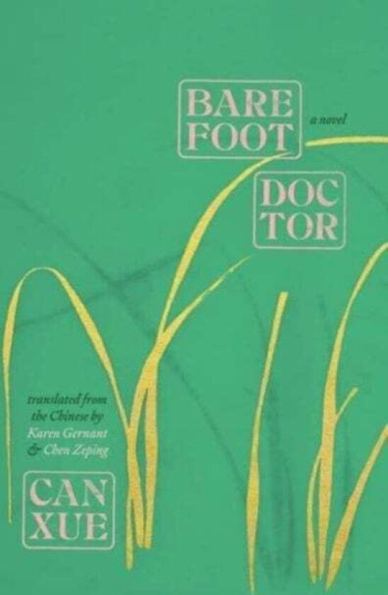 Barefoot Doctor av Can Xue