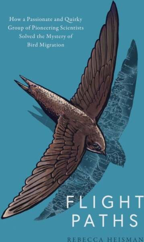 Flight Paths av Rebecca Heisman
