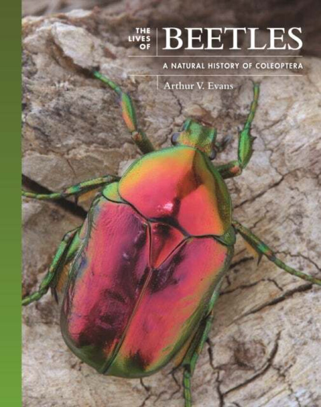 The Lives of Beetles av Arthur V. Evans