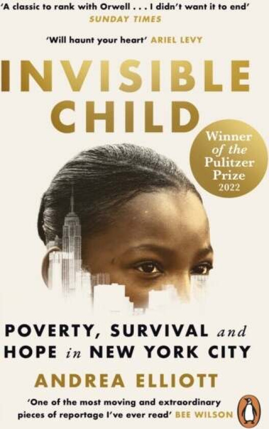 Invisible Child av Andrea Elliott
