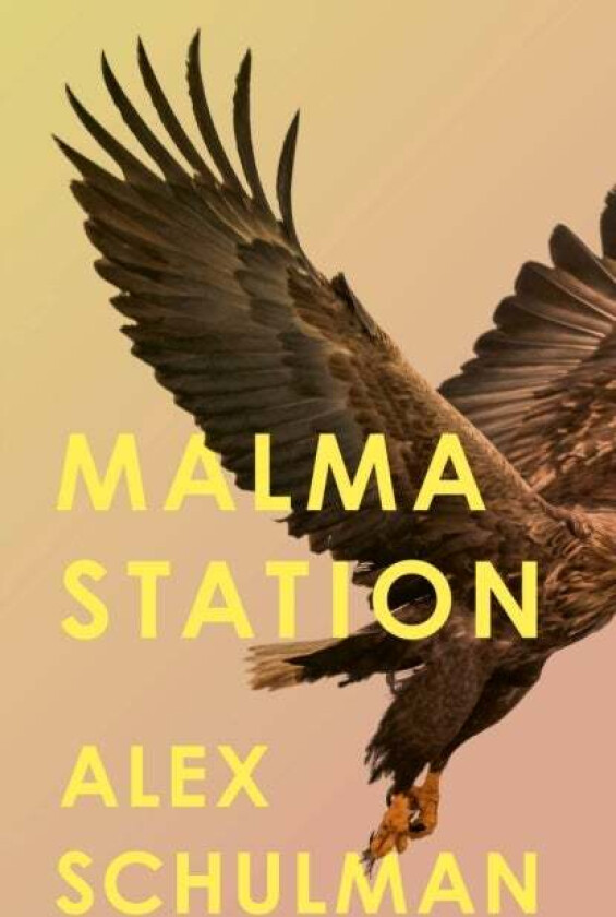 Malma Station av Alex Schulman
