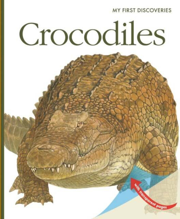 Crocodiles av Sylvaine Peyrols