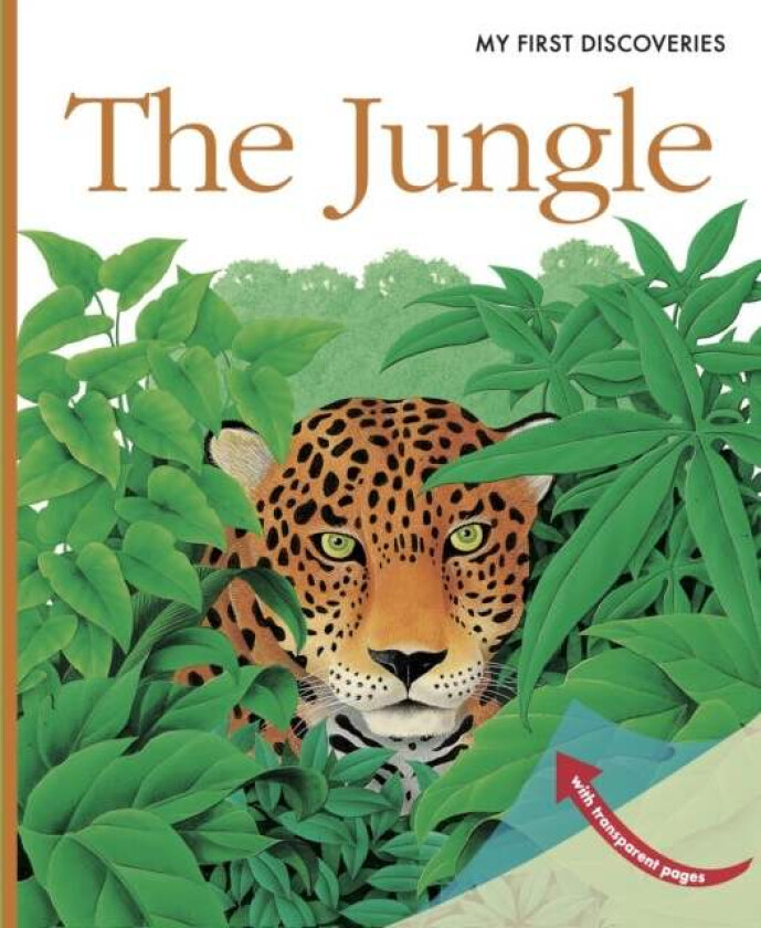 The Jungle av Rene Mettler