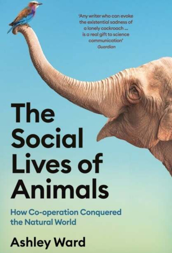 The Social Lives of Animals av Ashley Ward
