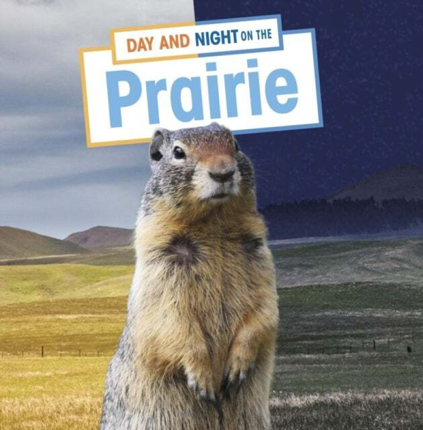 Day and Night on the Prairie av Ellen Labrecque