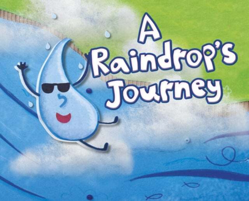 A Raindrop's Journey av Suzanne Slade